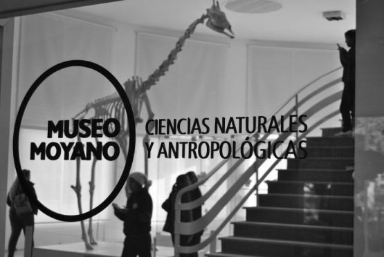 Destacado geólogo especializado en paleontología investiga en el Museo Moyano